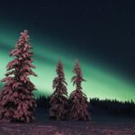 What to Pack for Your Yukon Tour