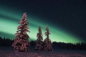 Read more about the article What to Pack for Your Yukon Tour